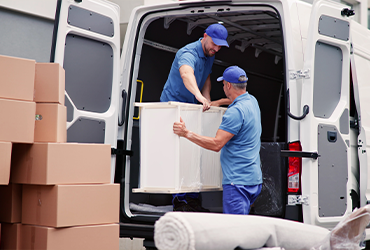 Logistic 2